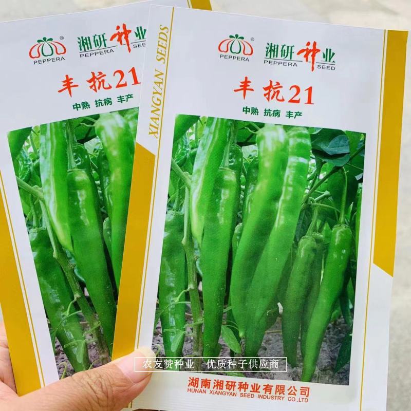 湘研丰抗21辣椒耐热耐旱长牛角形尖椒种子长果型牛角椒种子