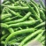 湘研丰抗21辣椒耐热耐旱长牛角形尖椒种子长果型牛角椒种子