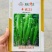 湘研丰抗21辣椒耐热耐旱长牛角形尖椒种子长果型牛角椒种子