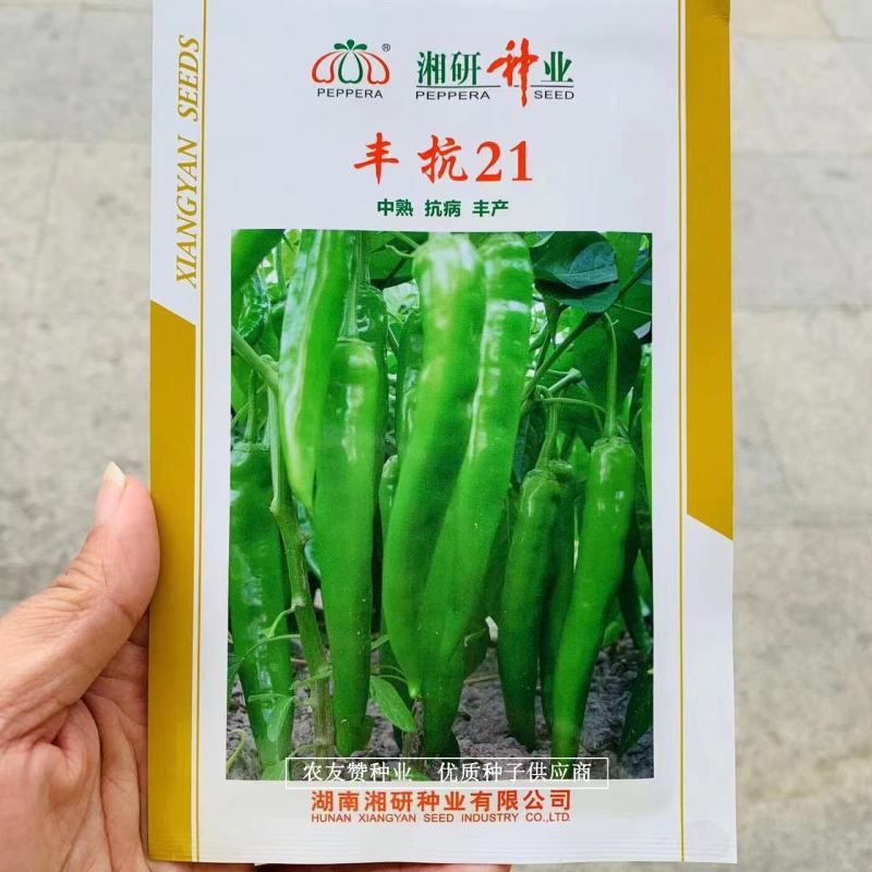 湘研丰抗21辣椒耐热耐旱长牛角形尖椒种子长果型牛角椒种子