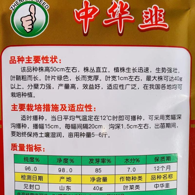 中华韭韭菜种子休眠韭菜品种耐寒适宜全国各地种植