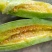 大量供应羊角蜜甜瓜山东羊角蜜大量有货代收代卖对接电商各大平台
