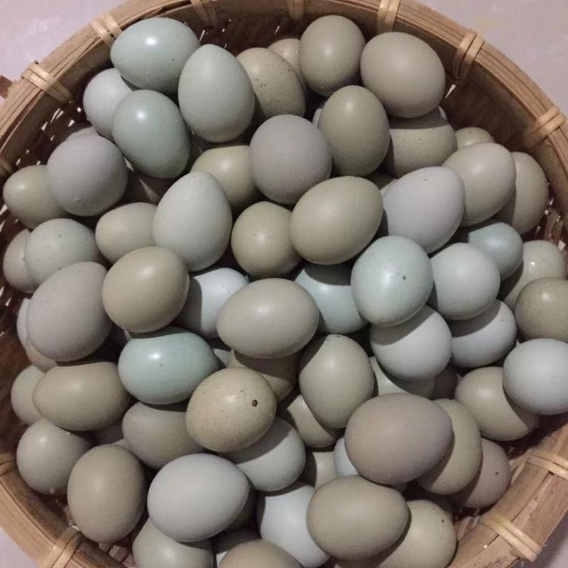 芦丁鸡蛋