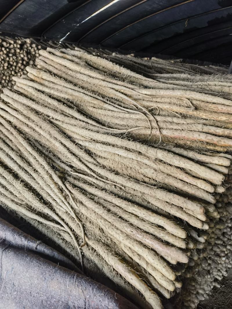 山西运城河南灵宝大量求购铁棍山药现货求购铁棍山药