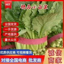 精品小白菜，价格低廉，供商超，量大从优代发全国各地