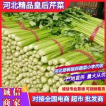 精品皇后芹菜，代发全国商超货源充足价格优惠欢迎来电