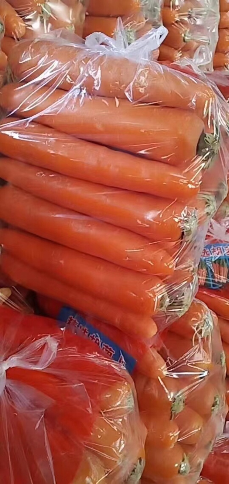 精品胡萝卜，大量有货，品质保证量大从优