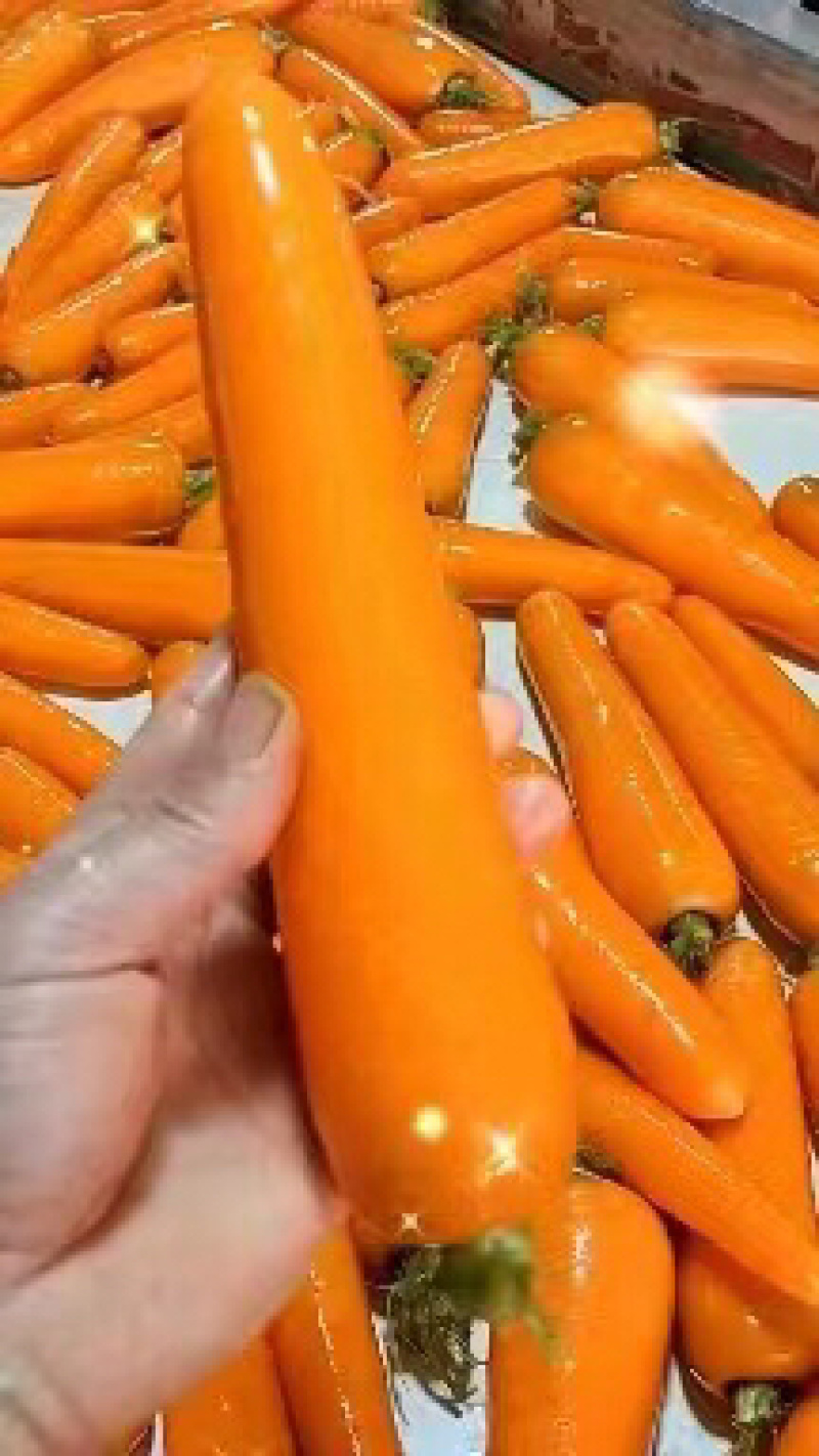 精品胡萝卜，大量有货，品质保证量大从优