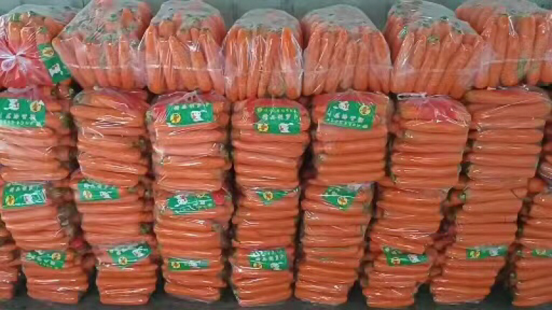 精品胡萝卜，大量有货，品质保证量大从优
