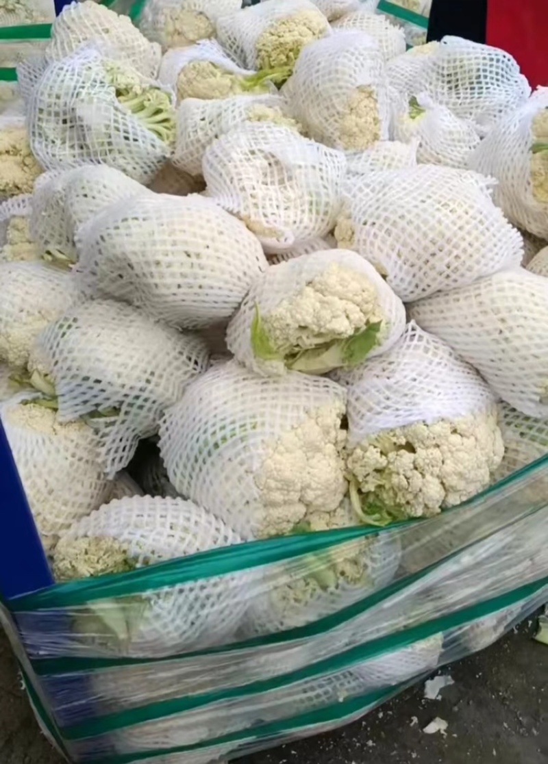 【产地发货】菜花有机花松花菜白面青梗散花