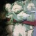 【产地发货】菜花有机花松花菜白面青梗散花