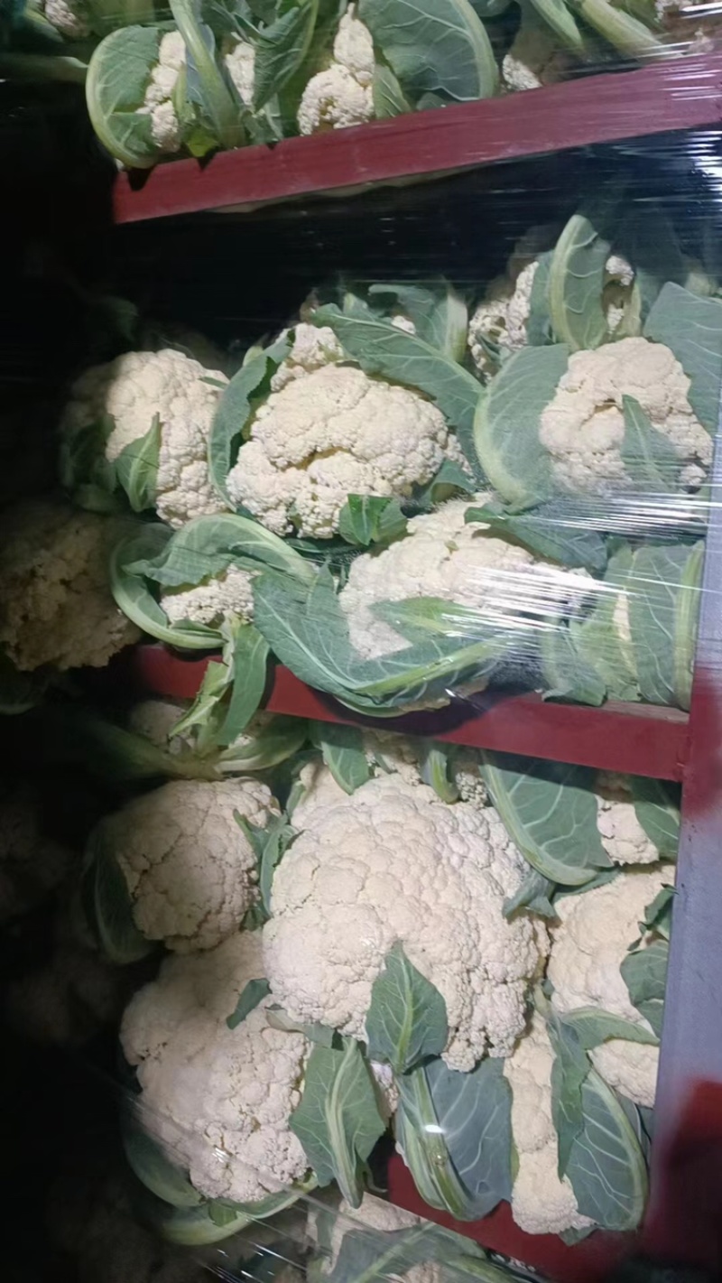 【产地发货】菜花有机花松花菜白面青梗散花