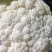 【产地发货】菜花有机花松花菜白面青梗散花