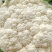 【产地发货】菜花有机花松花菜白面青梗散花