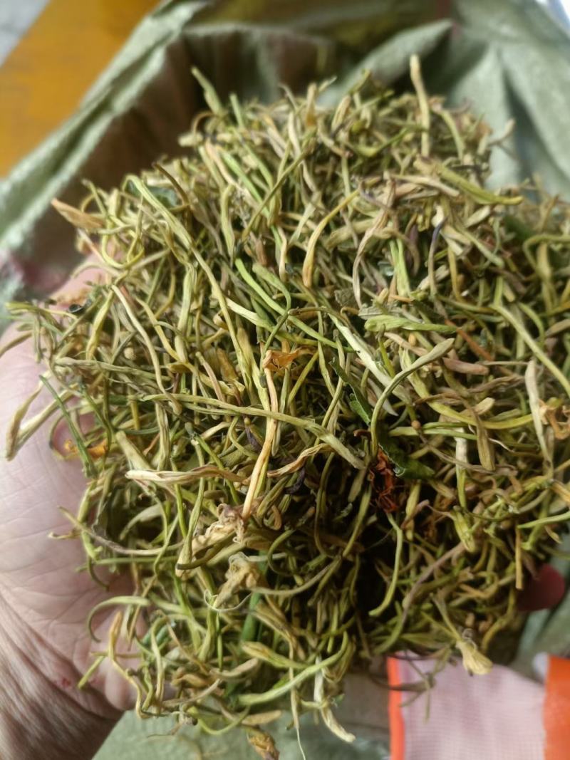 金银花
