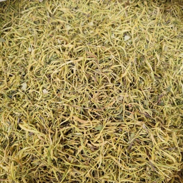 金银花