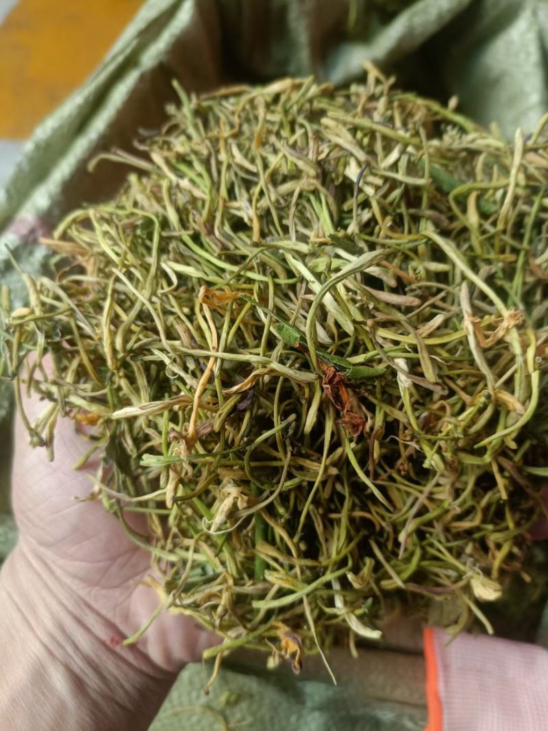金银花