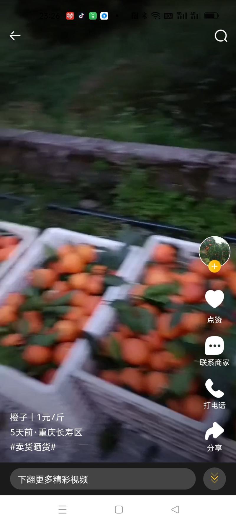 长寿血脐
