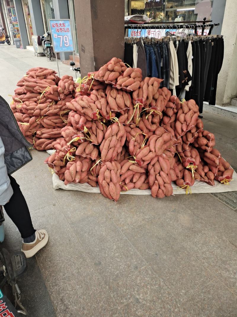 烟薯253两以上商品薯红心