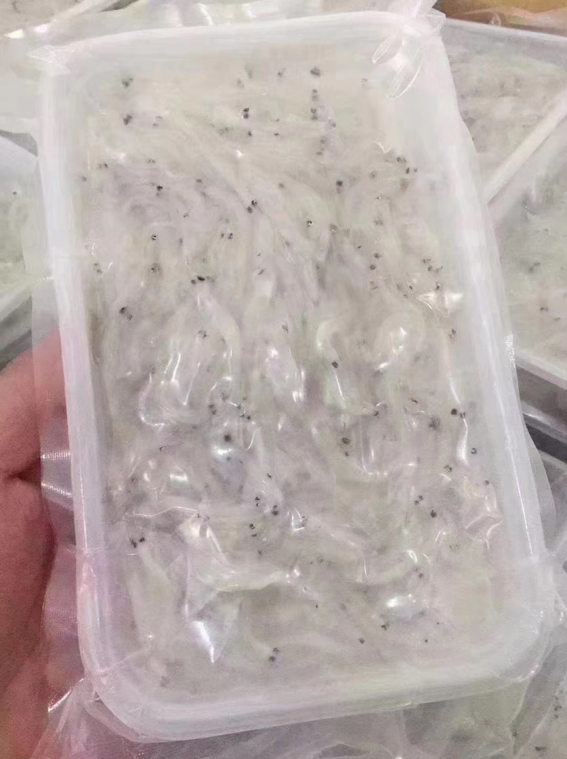 银鱼吻仔鱼鲜嫩无刺
