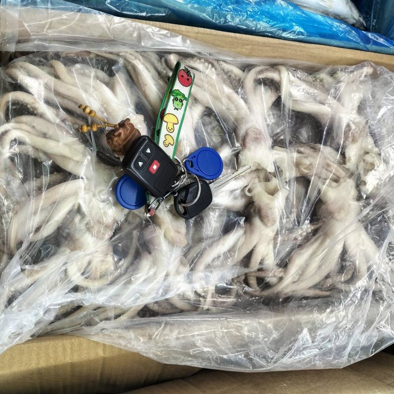 漂亮的机洗鱿鱼头