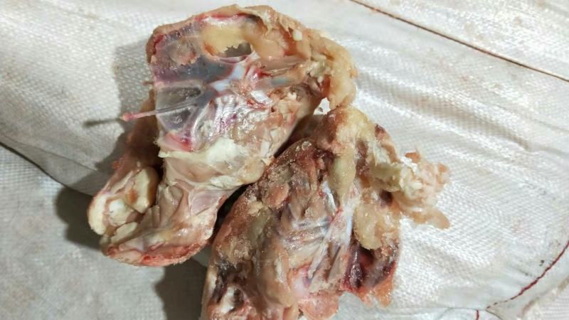 冻品肉鸡下半架，鸡架的下一半。。。。。。。。