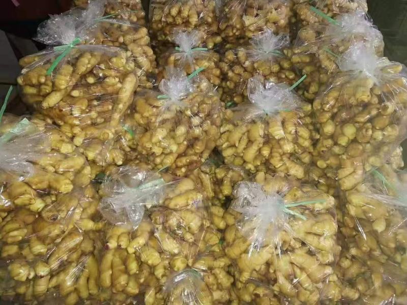 【推荐】山东小黄姜品类齐全市场货电商货商超货。保质保量