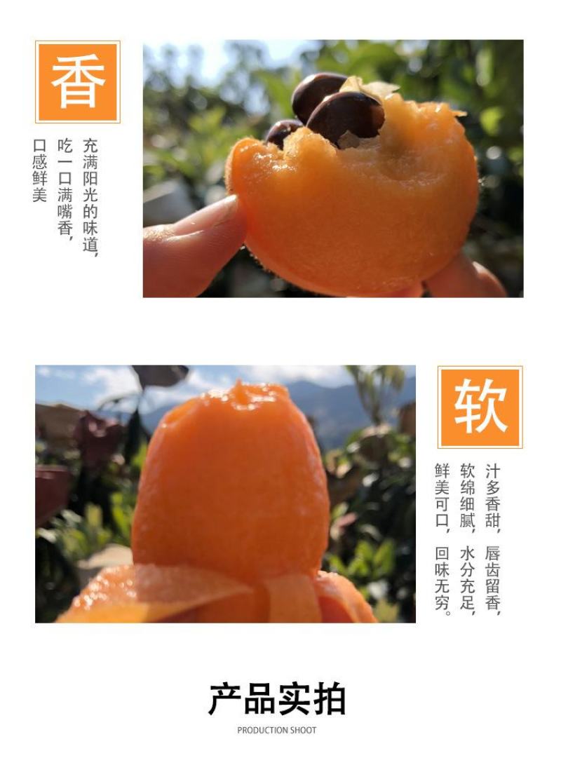 顺丰包邮【四川攀枝花米易枇杷】电商平台一件代发