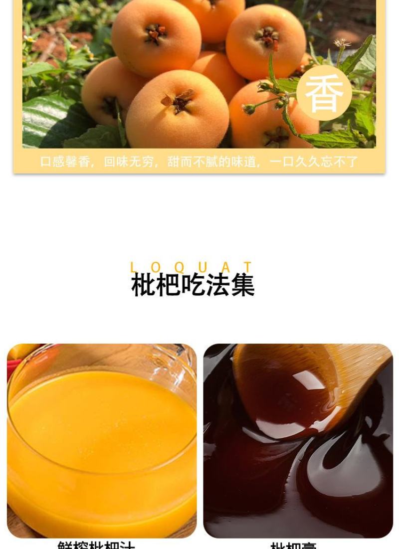 顺丰包邮【四川攀枝花米易枇杷】电商平台一件代发