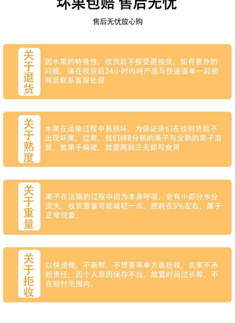 顺丰包邮【四川攀枝花米易枇杷】电商平台一件代发