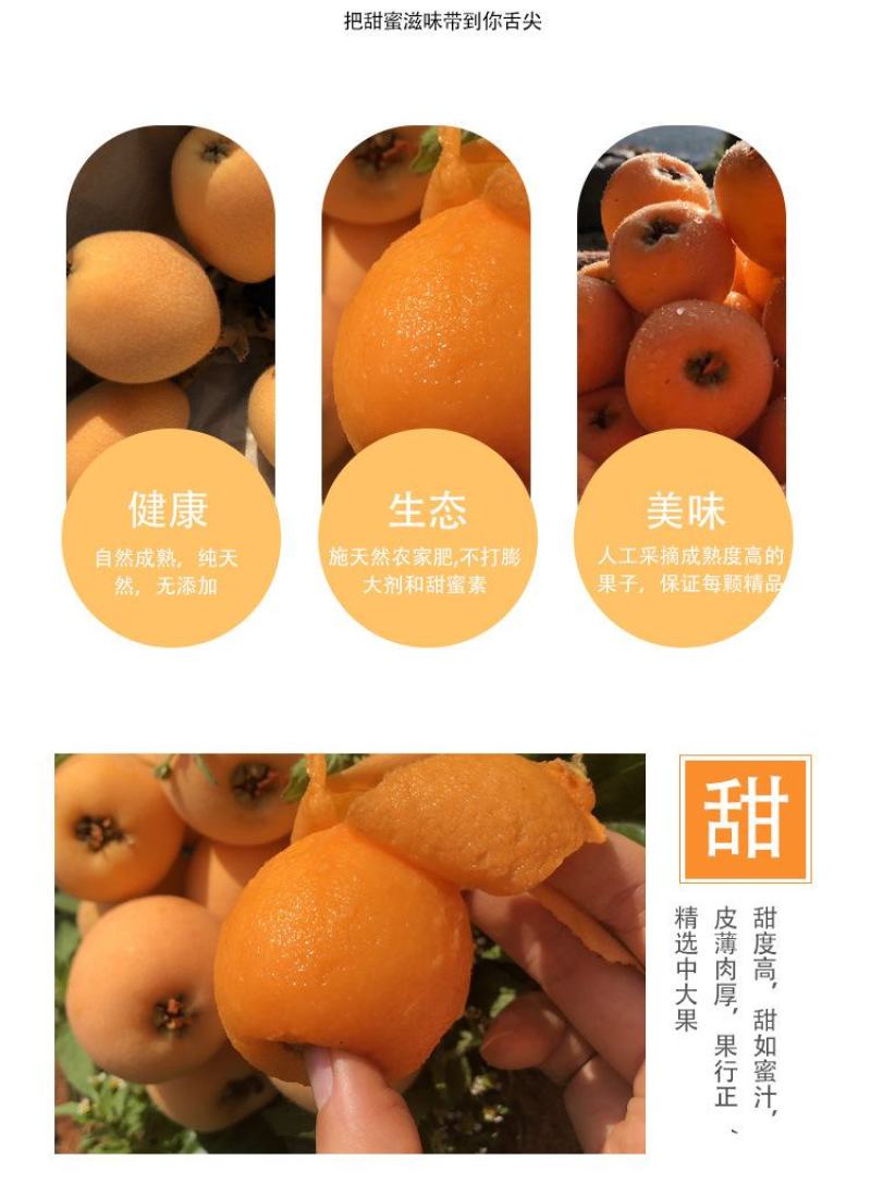 顺丰包邮【四川攀枝花米易枇杷】电商平台一件代发