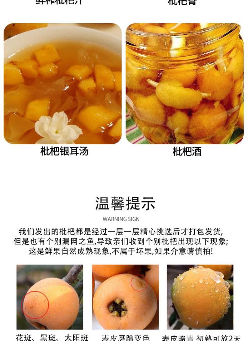 顺丰包邮【四川攀枝花米易枇杷】电商平台一件代发