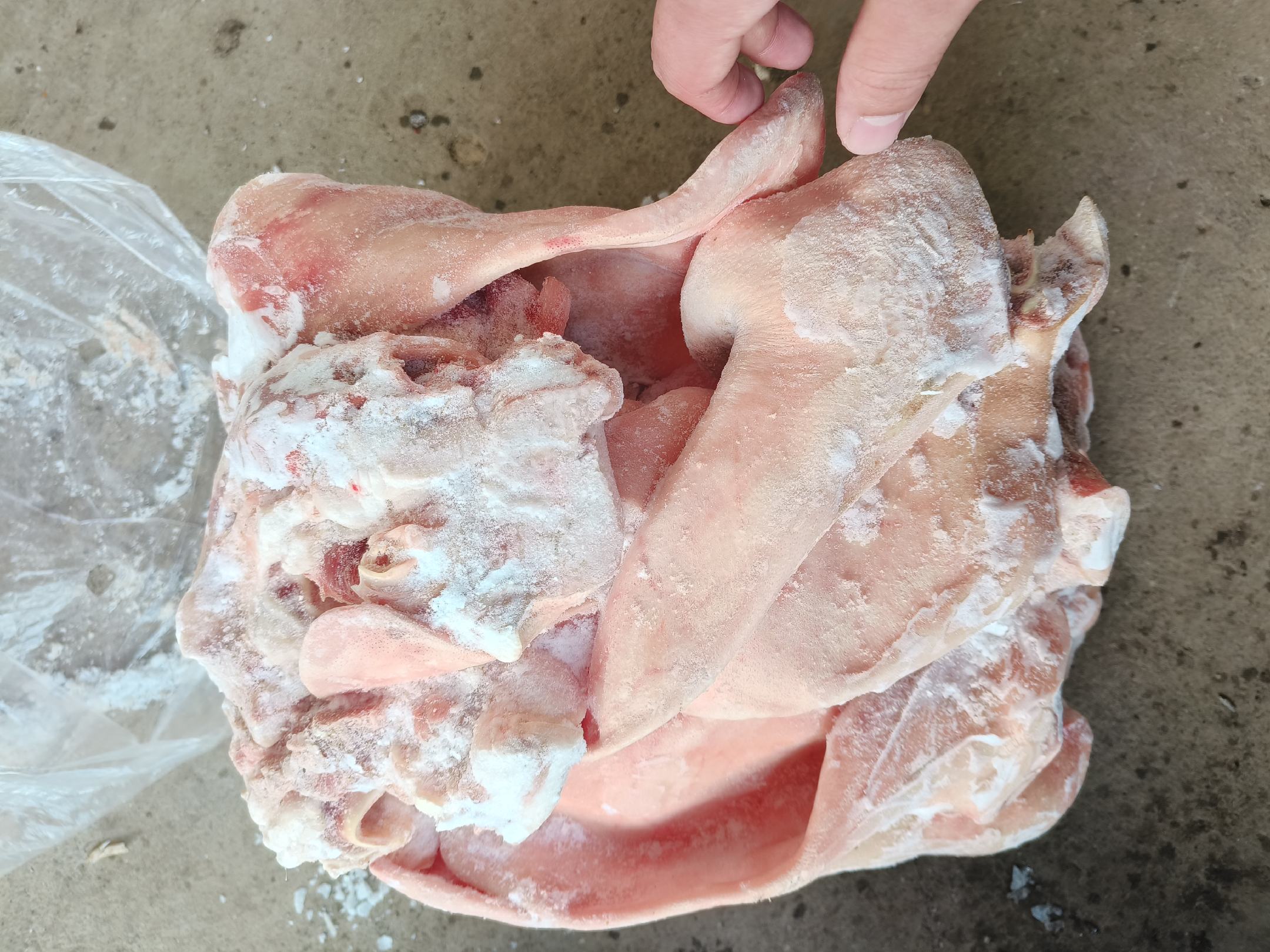 香芹猪耳朵食材处理图