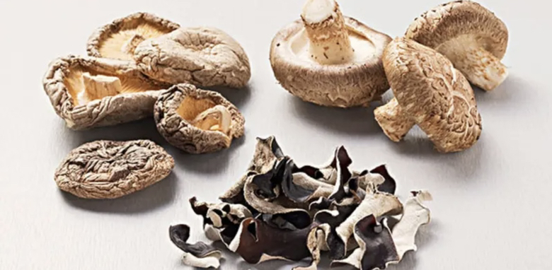 多种食用菌类对比图