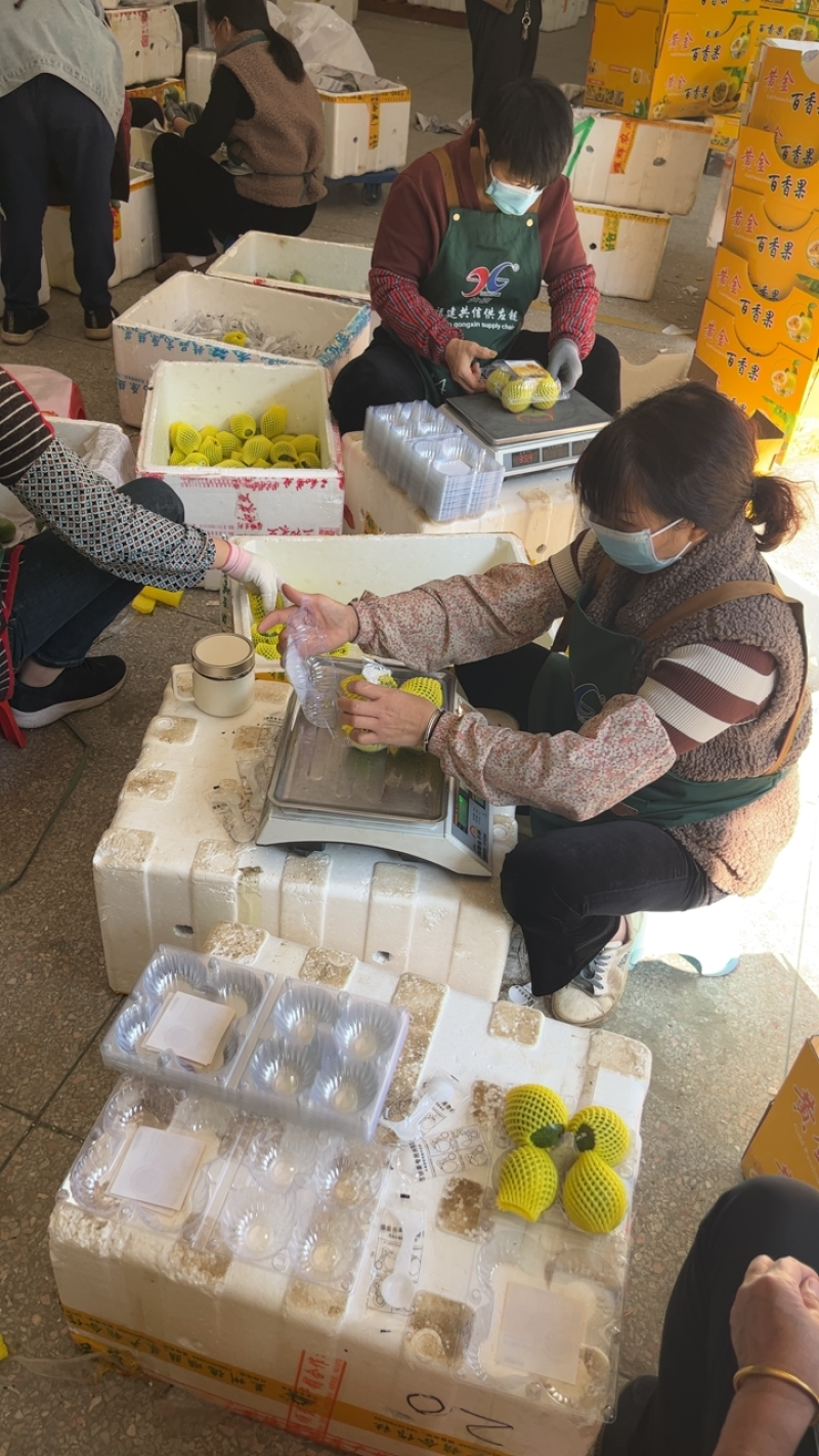 钦蜜9号礼盒装