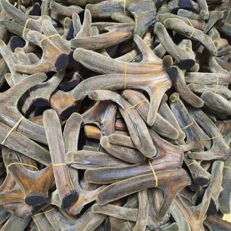 【干梅花鹿茸二杠】“包邮”高质量。鹿场发货
