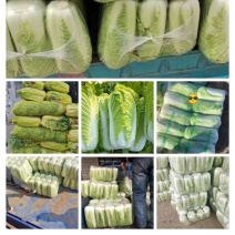 （优选）大白菜，北京三号白菜无烧心，电商平台超市市场