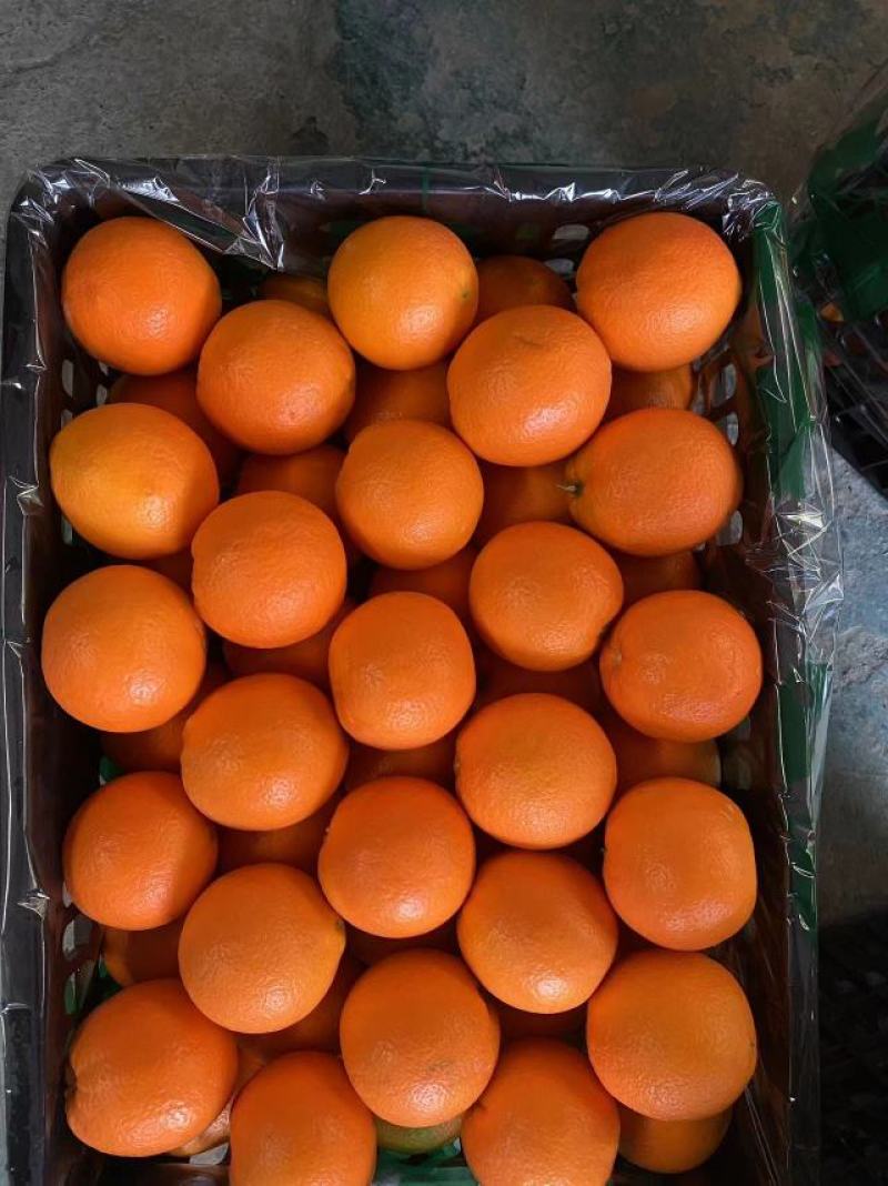 纽荷尔脐橙精品赣南脐橙纯甜化渣火红色果面干净