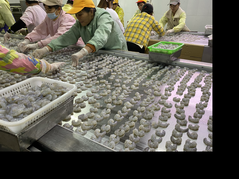 虾仁原料大虾仁青虾仁白虾仁新鲜厂家批发湛江