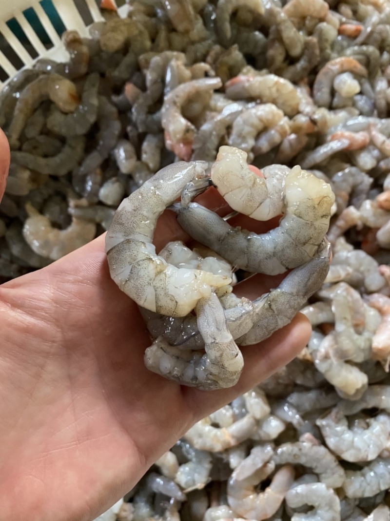次虾红虾仁断虾仁残虾仁B级虾仁厂家批发