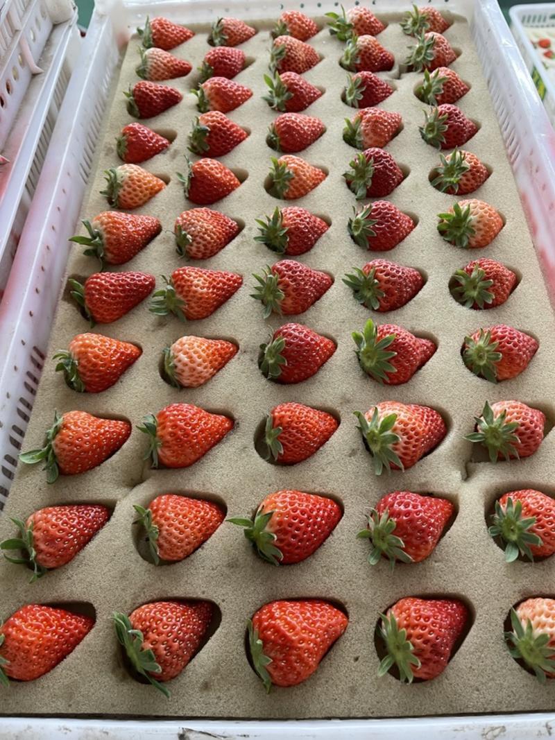 丹东草莓小盒天花板