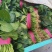【推荐】大叶菠菜货源充足，产地直发品质上乘全国发货