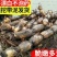 黄河囗莲藕是东营特产，黄河水中生长脆香爽囗粉糯香甜