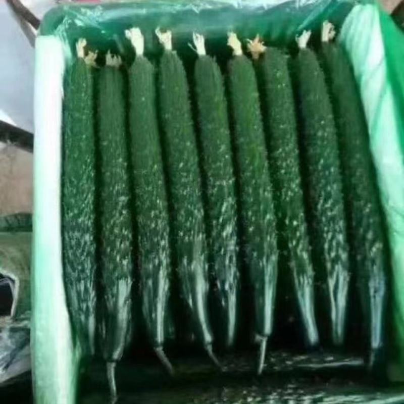 根深叶茂生根绿叶抗根腐强力生根叶面肥