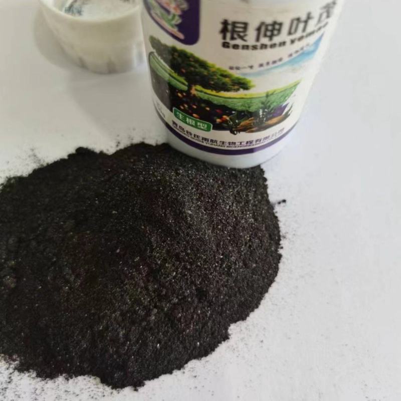 根深叶茂生根绿叶抗根腐强力生根叶面肥