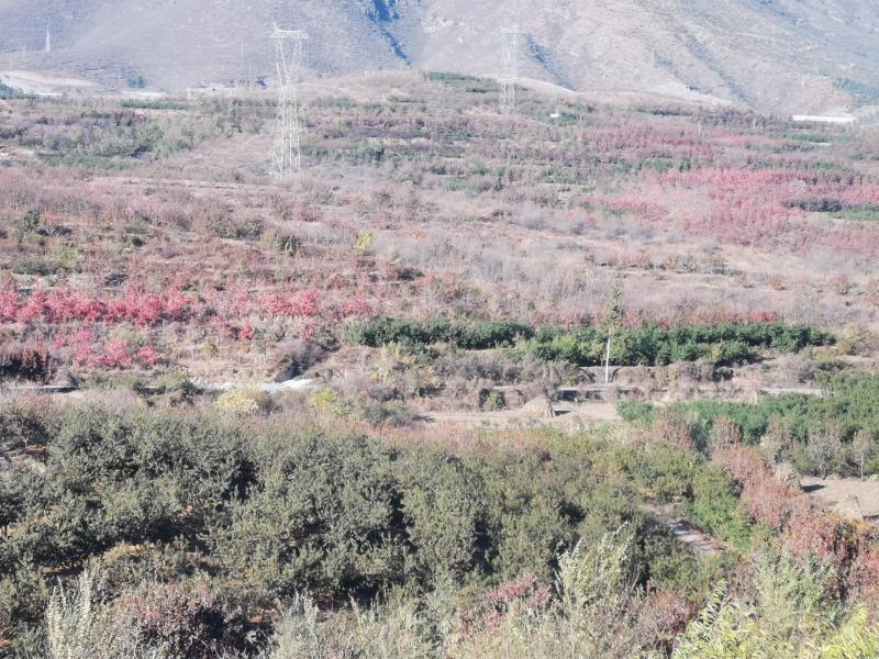 保定雄安新区西部狼牙山高速出口附近环水山地出让出售
