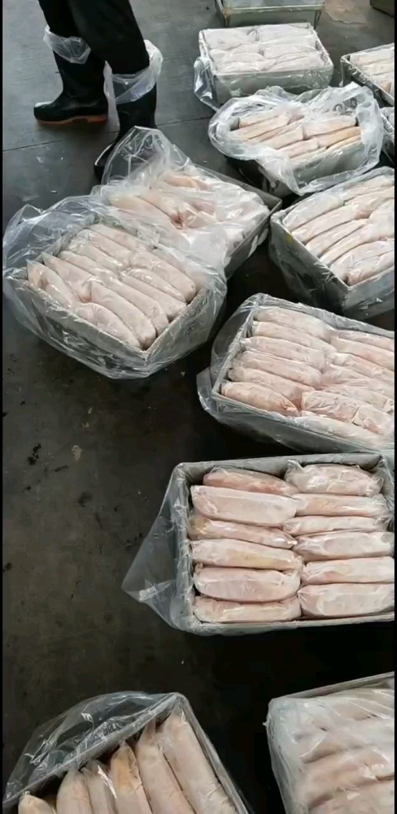 朱肚，佛山现货新鲜货，急冻货，品质至上诚信经营二十年