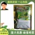 绿叶先锋施斯特迅速解除药害三天恢复生机25毫升