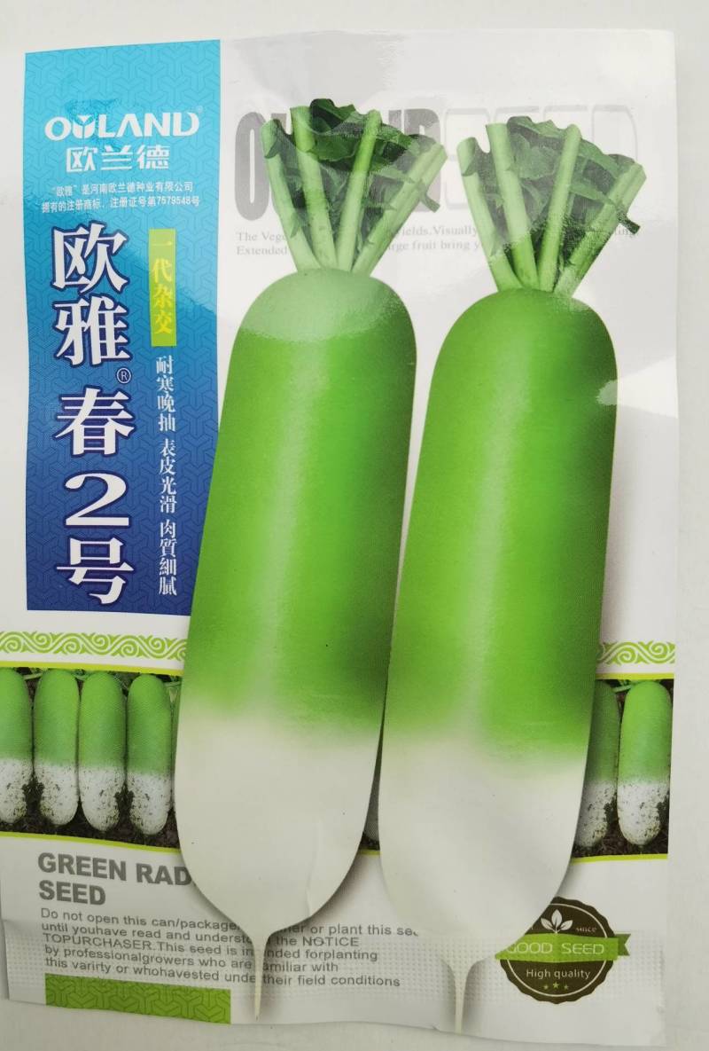 耐寒耐抽苔萝卜种子欧雅春2号早春耐低温晚抽苔绿皮萝卜种子