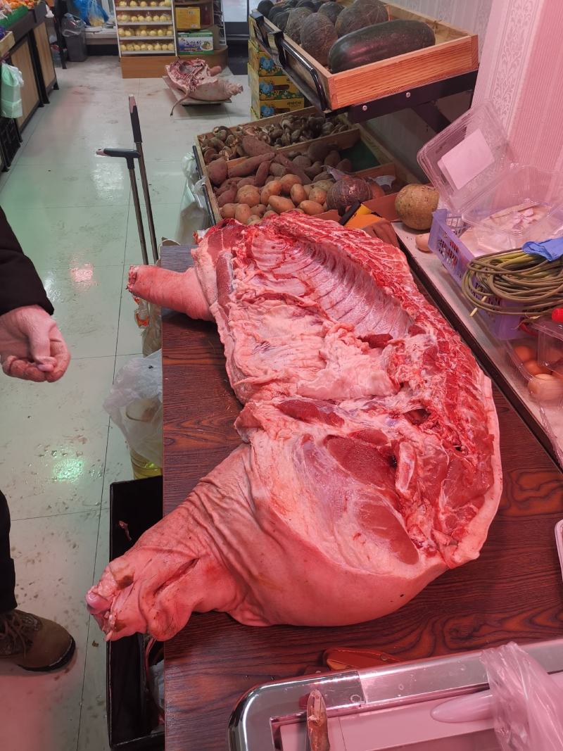 黑猪肉批发